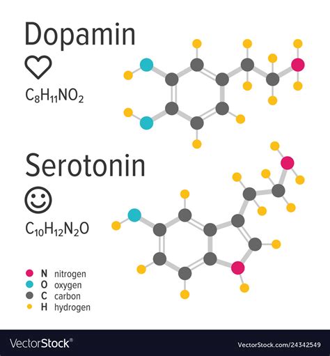 Dopamin And Serotonin Hormones Chemical Royalty Free Vector