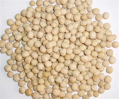 White Dry Peas सेतो केराउको दाना Buy Online At Thulocom At Best