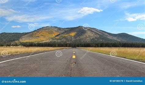 Landscape Of Open Country Road In Autumn Stock Photo Image Of
