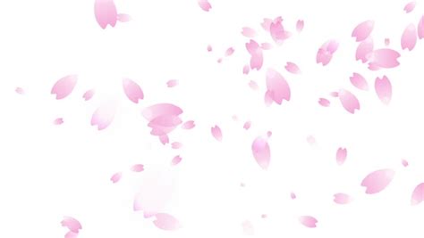 Find funny gifs, cute gifs, reaction gifs and more. Cherry Blossoms Stock Footage Video - Shutterstock
