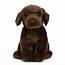 Chocolate Labrador Dog Soft Plush Toystuffed Animal Living Nature 
