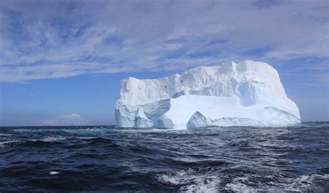 25 Interesting Facts About Icebergs Top Facts