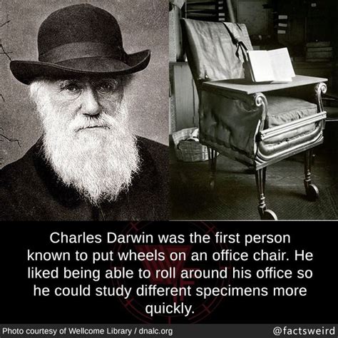 Charles Darwin Was The First Person Known To Put Wheels On An Office