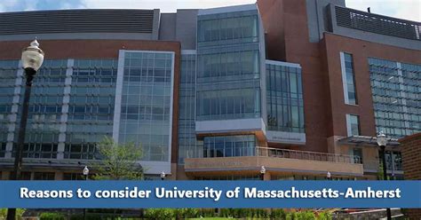 50 50 Profile University Of Massachusetts Amherst Do It Yourself