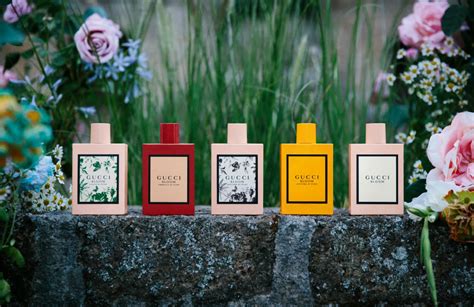 Bloom gocce di fiori was launched in 2019. Gucci Bloom Profumo di Fiori new floral perfume guide to ...