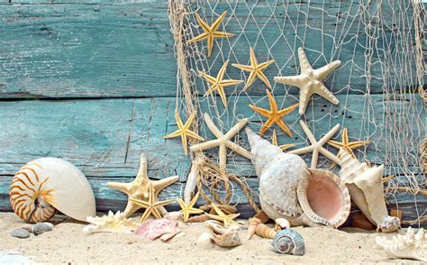 🔥 43 Beach And Starfish Wallpaper Wallpapersafari