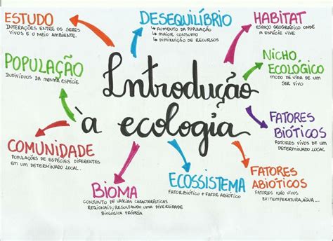 Mapa Mental De Ecologia Educabrilha