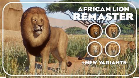 African Lion Remaster And New Variants 114 At Planet Zoo Nexus