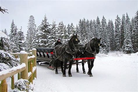 Sleigh Bells Ring~ Santaclaws Winter Scenes Sleigh Ride Winter Wonder