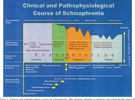Figure 1 From The Early Stages Of Schizophrenia Speculations On Pathogenesis Pathophysiology