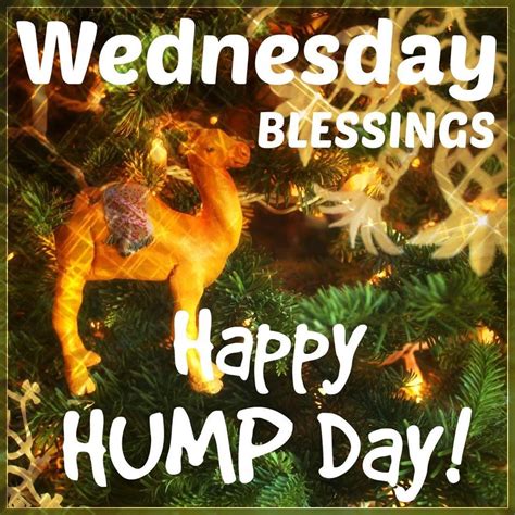 Wednesday Blessings Happy Hump Day Pictures Photos And Images For