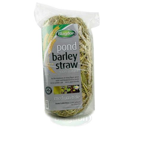 Blagdon Barley Straw Medium Bale 1054652 Easy Garden Watering