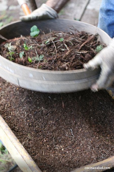 1.8 abonos líquidos para cactus y otras suculentas. Cómo preparar la tierra para el huerto ecológico o macetas ...