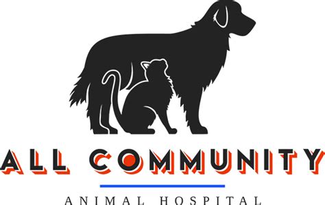 Ronald newman and our team are committed to bringing you and your pets better health by practicing the science of veterinary medicine. All Community Animal Hospital | Pet Ophthalmology Porter ...