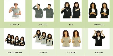 Animales En Lengua De Signos Aprende Lengua De Signos Española ⭐️⭐️⭐️⭐️⭐️