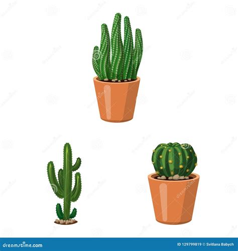 Vector Illustration Of Cactus And Pot Icon Set Of Cactus And Cacti