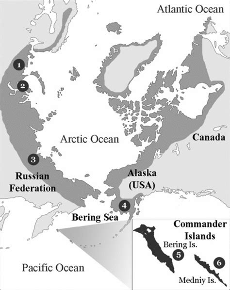 Geographic Range Of Arctic Foxes And The Sampling Locations Of