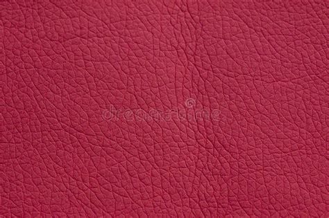 480 Burgundy Color Leather Texture Stock Photos Free And Royalty Free