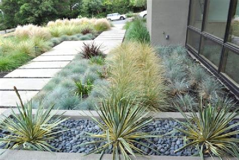 35 Popular Xeriscape Landscape Ideas For Your Front Yard Magzhouse