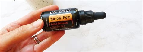 The Beauty That Is Yarrow Pom And How To Use It Native Soul Beauty