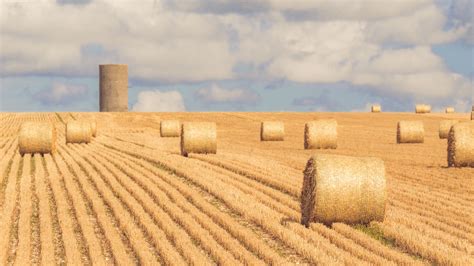 Hay Bales On A Field Free Stock Photo Public Domain Pictures