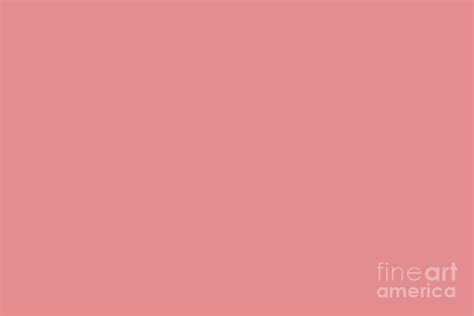 Rosy Dark Pastel Pink Peach Solid Color All Colour Single Shade Matches