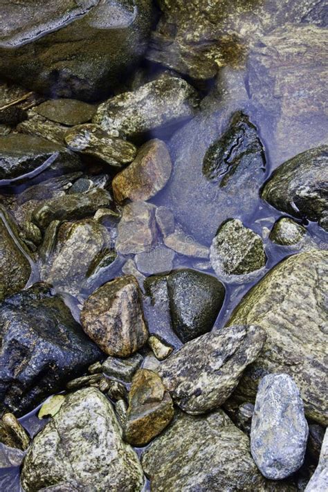 Nasse Felsen Im Strom Stockbild Bild Von Frech Oberfläche 26454367