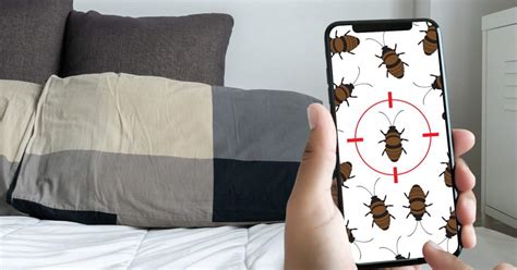 Worried About Bed Bugs Heres How To Treat Your Furniture 21oak
