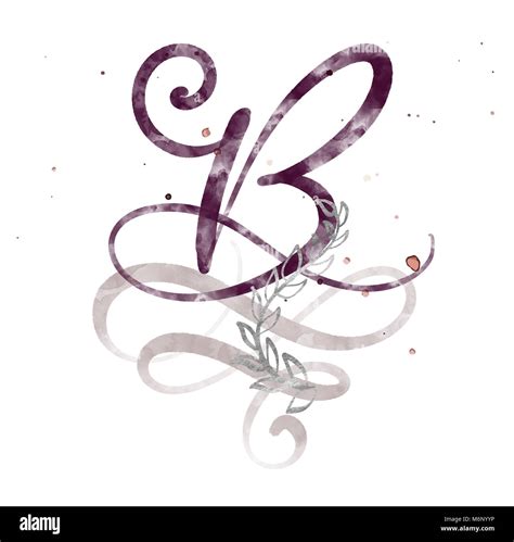 Hand Drawn Calligraphy Letter B Watercolor Script Font Isolated