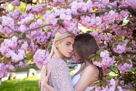 Spring Girls Face Outdoor Portrait Of A Beautiful Sensual Woman Attractive Girls In A Field
