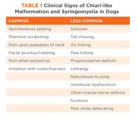 Understanding Chiari Malformation Types Symptoms And Treatment Options