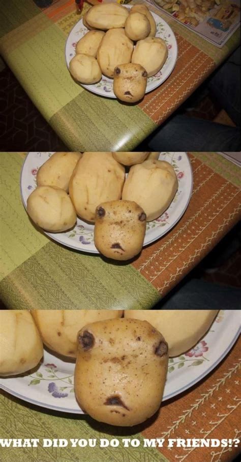 Peeling Potatoes When Suddenly Peeling Potatoes Some Jokes