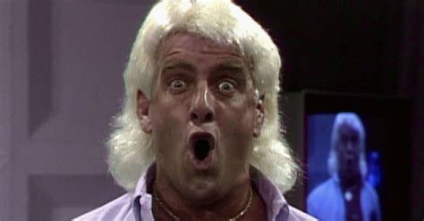 Renewable every hour, pending availability.more info. Ric Flair Has Probably Taken Your Mom to Space Mountain ...