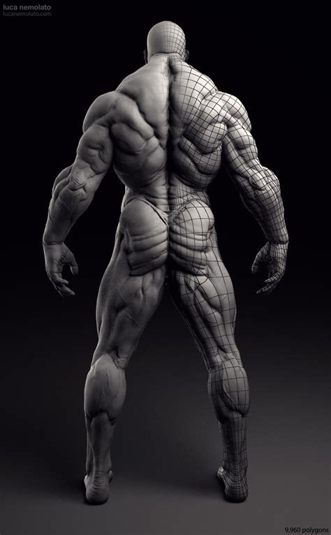 Official Blog Extreme Bodybuilder Vray Renders Zbrush Anatomy