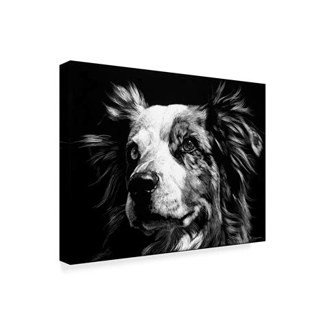 Trademark Fine Art Canine Scratchboard Xx Canvas Art By Julie T
