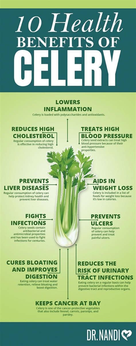 Nutritiondropshipping Id5472854005 Broccolinutrition Celery