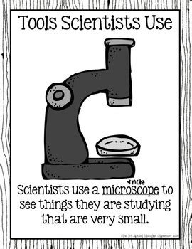 What Is A Scientist By Mrs P S Special Education Classroom Tpt