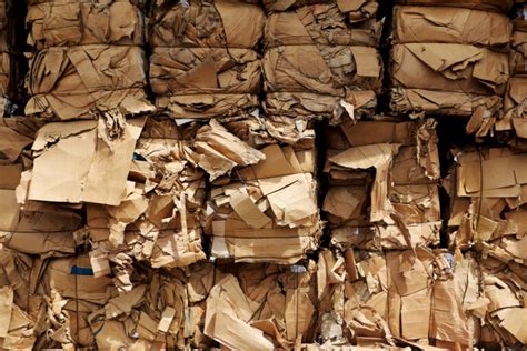 Understanding Waste Why Is Cardboard Waste A Problem