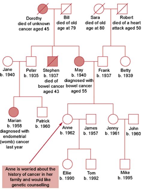Family tree cartoons and comics funny pictures from cartoonstock. Family Tree Template: Family Tree Template Genetics