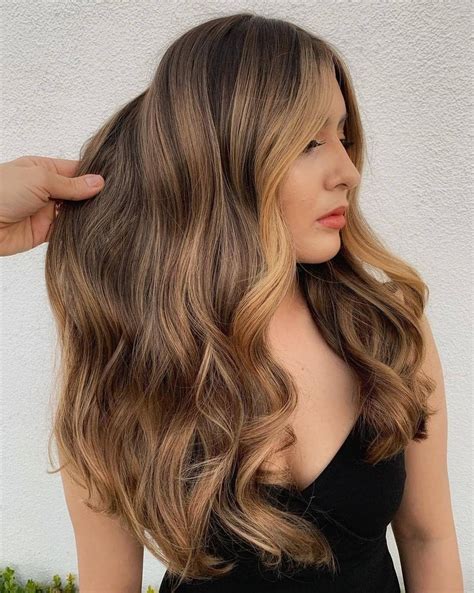 Hair Highlights And Lowlights For Brown Hair