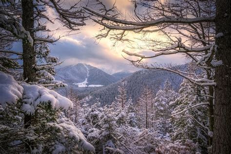 Landscape Nature Winter Sunset Forest Snow Mountain Clouds Cold Trees Poland