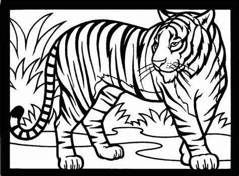 безплатни страници за оцветяване на тигър за печат за деца Животно