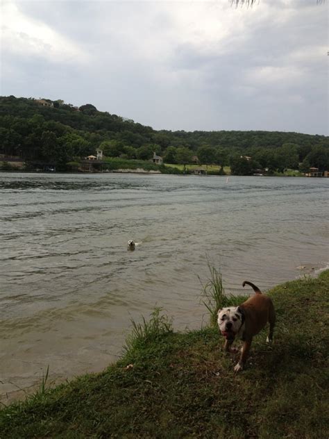 There's a small swimming area that's protected. Emma Long Metropolitan Park - 45 Photos - Parks - Austin ...