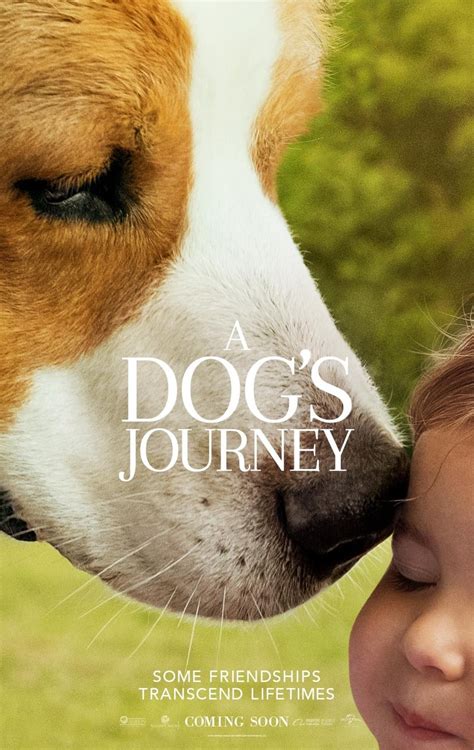 In a dog's journey, the sequel to the heartwarming global hit. A Dog's Journey DVD Release Date August 20, 2019