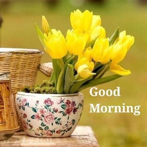 45 Best Good Morning Greetings Images Wishes Messages