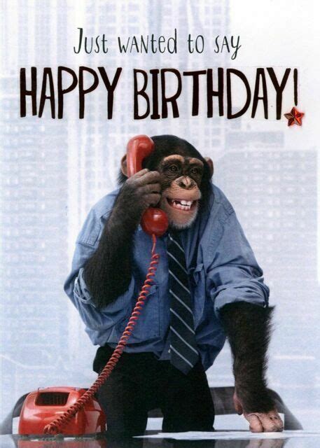 Chimp Happy Birthday Greeting Card Second Nature Yours Truly Cards For