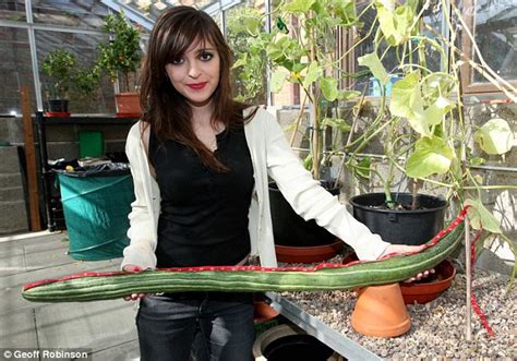 is this the world s longest cucumber grandmother grows 43 inch vegetable daily mail online