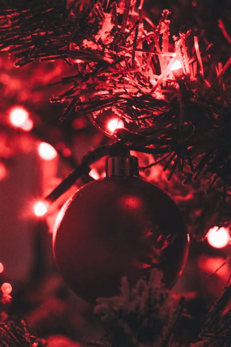 무료 이미지 빨간 크리스마스 장식 나무 축제 크리스마스 조명 크리스마스 트리 인테리어 디자인 행사 휴일 식물