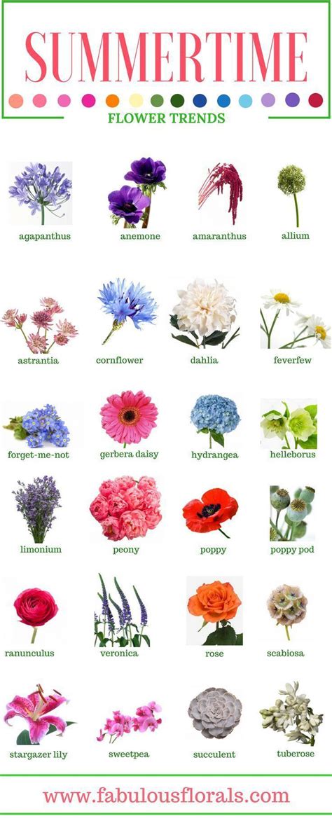 Si, perché le piante grasse con i fiori non sono poi così insolite e non è raro appunto vedere dei fiorellini colorati sulla loro sommità. Nomi Fiori : Pin Su Rainbow / 700 x 400 jpeg 414 кб ...