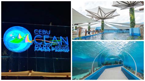 In Photos Cebu Ocean Park In Srp Cebu City